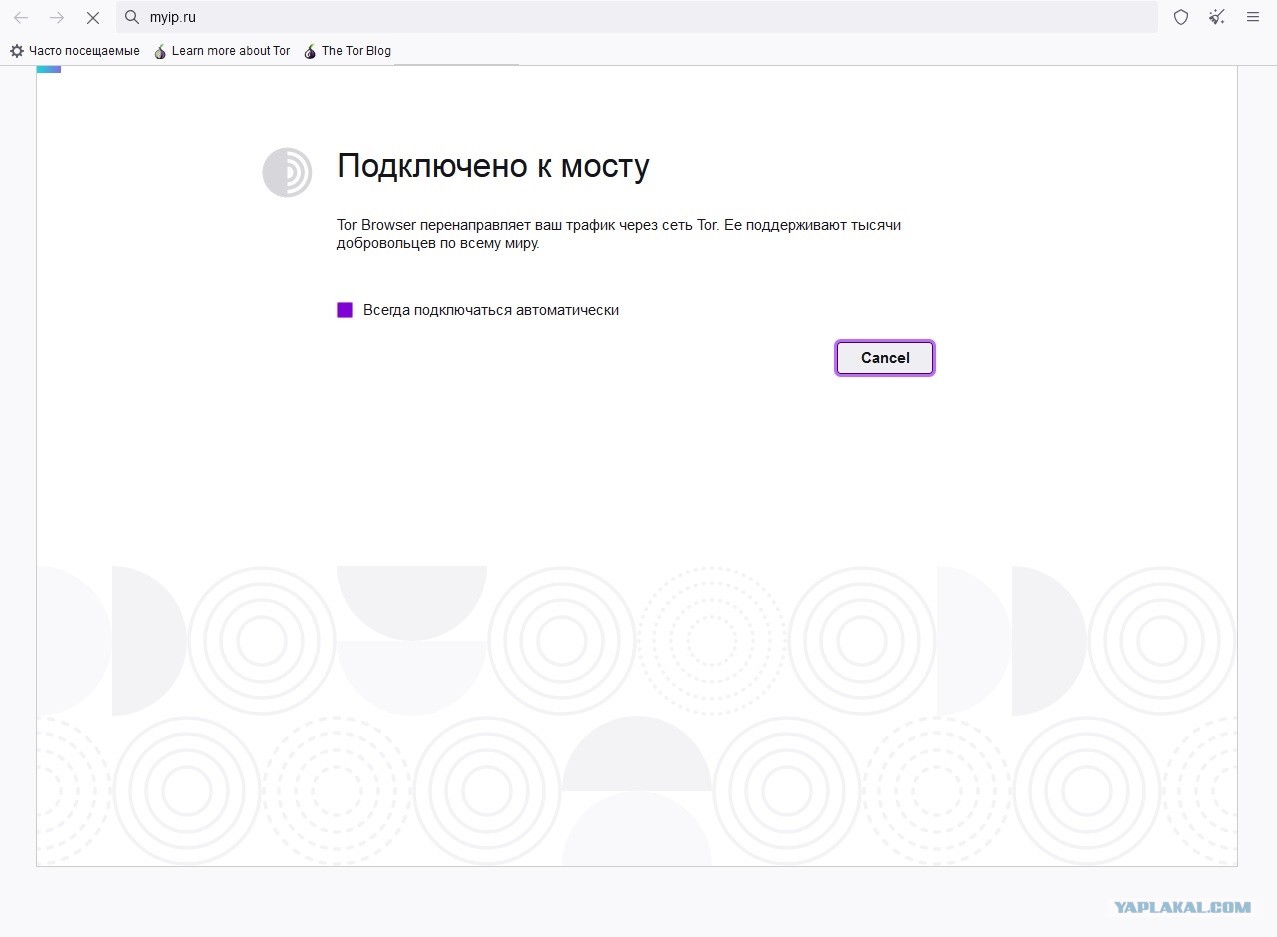 Ссылка на kraken онион krmp.cc