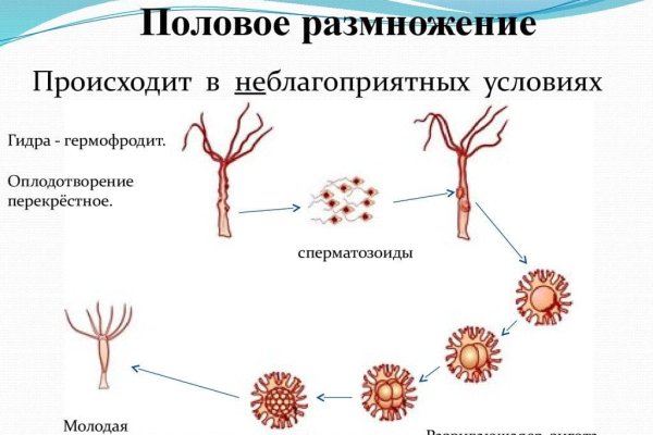 2krn сс