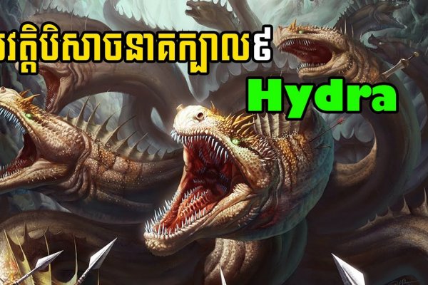 Как перевести деньги в биткоины на гидре